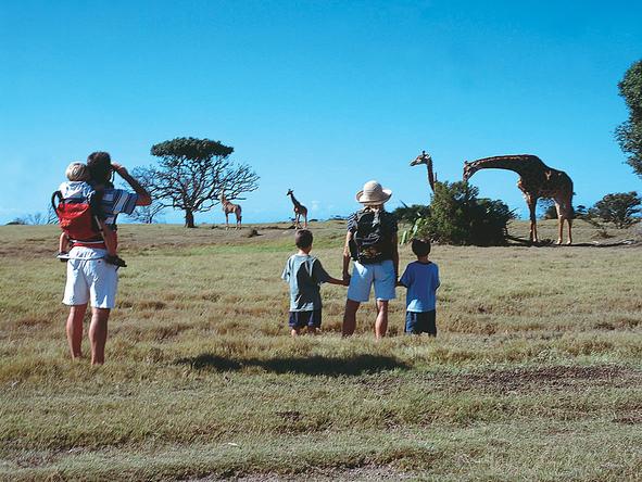 Kariega Main Lodge - Activities 